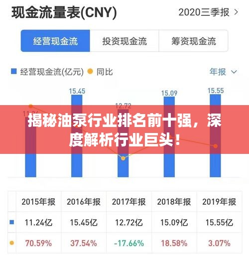 揭秘油泵行业排名前十强，深度解析行业巨头！