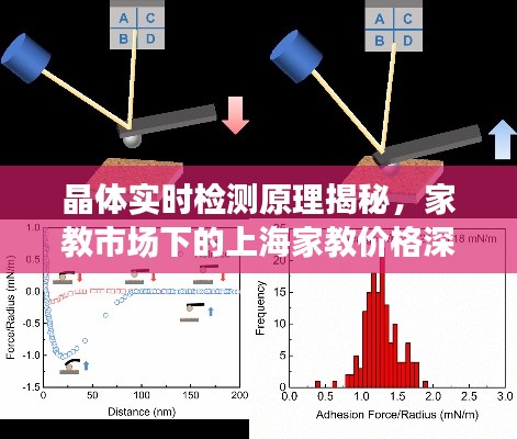 晶体实时检测原理揭秘，家教市场下的上海家教价格深度解析