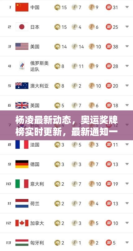 杨凌最新动态，奥运奖牌榜实时更新，最新通知一网打尽！