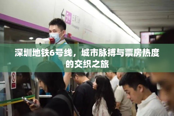 深圳地铁6号线,城市脉搏与票房热度的交织之旅