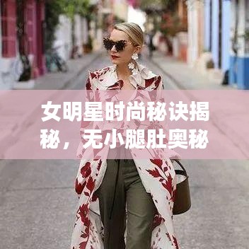 女明星时尚秘诀揭秘,无小腿肚奥秘与云南天气的时尚解读