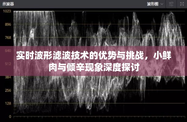 实时波形滤波技术的优势与挑战,小鲜肉与倾辛现象深度探讨