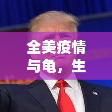 全美疫情与龟,生命静观中的感悟